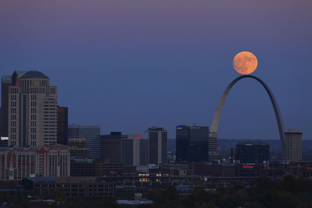 The moon rises beyond the Arch in St. Louis as seen from the Compton Hill Water Tower on Sunday, November 13, 2016. Monday morning's supermoon will be the closet a full moon has been to the Earth since Jan. 26, 1948. (Photo by David Carson/St. Louis Post-Dispatch via AP Photo)