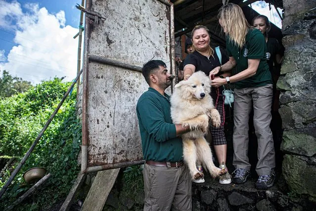 A member of anti-animal cruelty group Humane Society International, (HSI) carries a dog from a slaughter house in Tomohon, North Sulawesi, Indonesia, Friday, July 21, 2023. Authorities on Friday announced the end of the “brutally cruel” dog and cat meat slaughter at a notorious animal market on the Indonesian island of Sulawesi following a years-long campaign by local activists and world celebrities. (Photo by Mohammad Taufan/AP Photo)