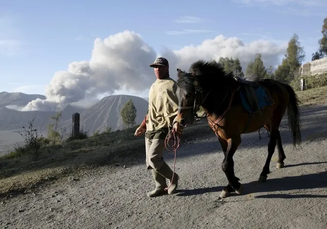 A man who takes tourists for rides on his horse walks on a road as Mount Bromo erupts in the background near Ngadisari, Probolinggo, East Java, Indonesia January 6, 2016. (Photo by Darren Whiteside/Reuters)
