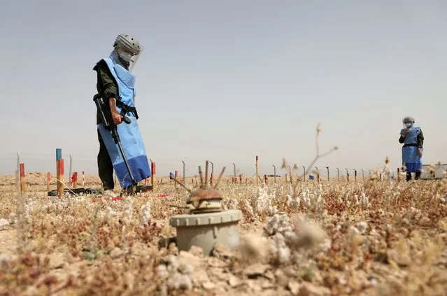 Women participate in efforts to clear landmines in Basra, Iraq on March 27, 2021. (Photo by Mohammed Aty/Reuters)