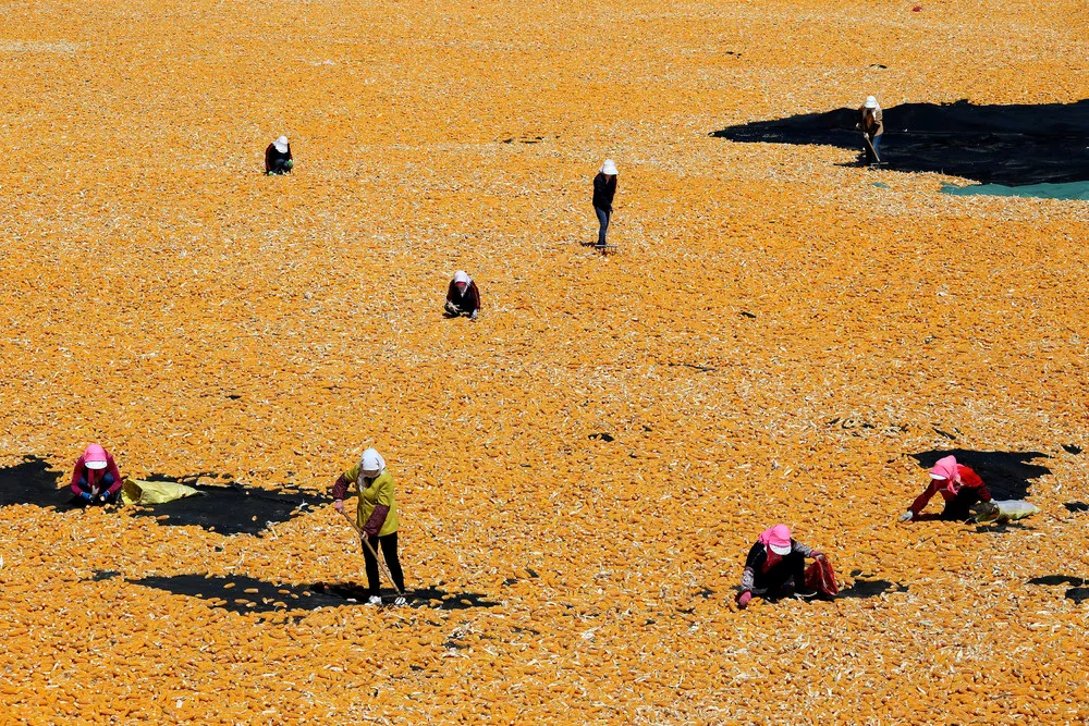 A Look at Life in China