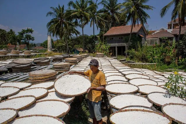 A worker dries tapioca flour made from cassava at a production house in Sumedang, West Java on October 3, 2023. Sales of tapioca flour have decreased by 50% due to a decline in market demand. (Photo by Algi Febri Sugita/ZUMA Press Wire/Alamy Live News)