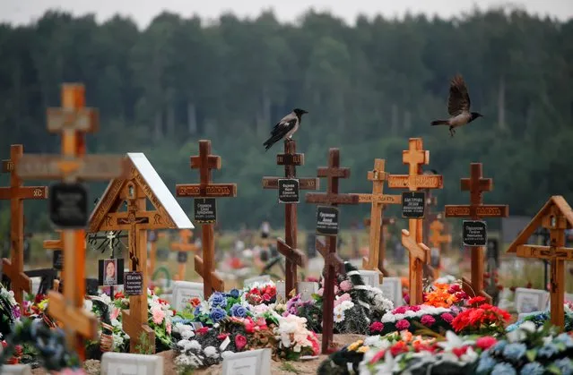 Birds are seen at the special purpose section of a graveyard for the coronavirus disease (COVID-19) victims on the outskirts of Saint Petersburg, Russia on June 25, 2021. (Photo by Anton Vaganov/Reuters)