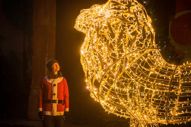 A woman poses next to a lit up sculpture of a lion as it is part of the Christmas lights display at ZSL London Zoo in London, UK on November 23, 2018. (Photo by Pete Summers/PA Wire)