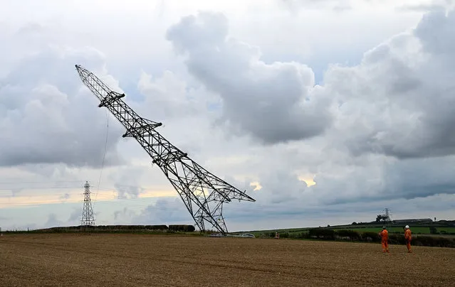 An electricity pylon is pulled down, near Martinstown, on September 30, 2022 in Winterbourne, England. The National Grid has started to remove 22 pylons and 8.8km of overhead cable from the skyline to transform views of the Dorset Area of Outstanding Natural Beauty. Located near the villages of Martinstown and Winterbourne Abbas, the Going Underground project is one of the first schemes in the world to remove high-voltage electricity transmission infrastructure solely to enhance the landscape. (Photo by Finnbarr Webster/Getty Images)