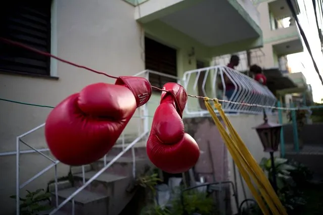 In this January 19, 2017 photo, Idanerys Moreno's boxing gloves hang on a line to dry, after a training session in Havana, Cuba. Women were first allowed to box at the Olympics during the 2012 Summer Olympics but they are still not allowed to box in Cuba. (Photo by Ramon Espinosa/AP Photo)
