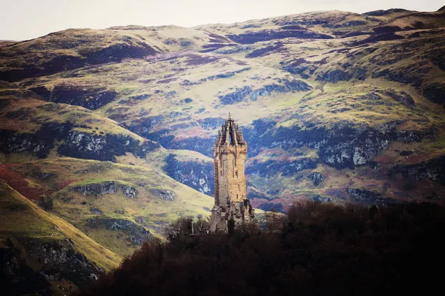 The Wallace monument stands 220 feet high, completed in 1869 following eight years of construction on February 3, 2014 in Stirling, Scotland. Scots will vote in the Scottish Independence Referendum on September 18. A recent poll indicates that support for the yes campaign has grown dramatically by five percentage points over the last four months. (Photo by Jeff J. Mitchell/Getty Images)