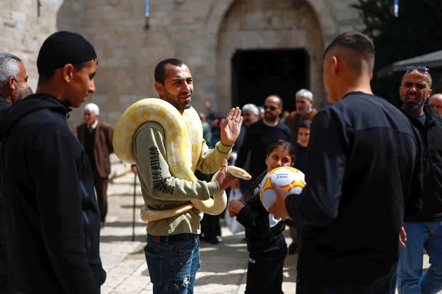 A man carries a snake as he waits for people to take pictures with it on the day of Friday prayers during the holy fasting month of Ramadan, amid the ongoing conflict between Israel and the Palestinian group Hamas, near one of the gates of Jerusalem's Old City, on March 22, 2024. (Photo by Carlos Garcia Rawlins/Reuters)