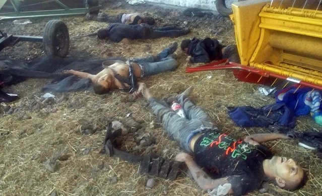 The bodies of men who authorities say were suspected cartel gunman lie next to farm equipment at the Rancho del Sol, near Ecuanduero, in western Mexico, Friday, May 22, 2015. At least 43 people died Friday in what authorities described as a fierce, three-hour gunbattle between federal forces and suspected drug gang gunmen at the ranch. (Photo by Oscar Pantoja Segundo/AP Photo)