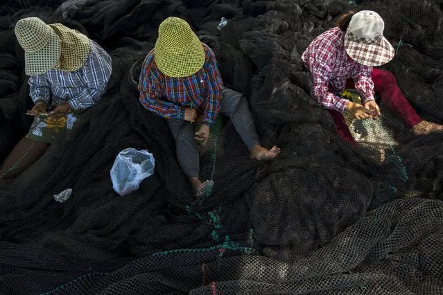 Local fishermen fix their net as fishing operations stopped at a port in Samut Sakhon province, Thailand, July 1, 2015. Fishermen in Thailand have gone on strike over new government regulations that took effect on Wednesday after the country was told by the European Union to clamp down on illegal fishing. (Photo by Athit Perawongmetha/Reuters)