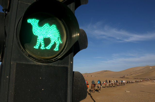 Tourists, riding on camels, pass a camel traffic light at the Mingsha Mountain and Yueya Spring scenic area on June 22, 2024 in Dunhuang, Gansu Province of China. (Photo by Zhang Xiaoliang/VCG via Getty Images)