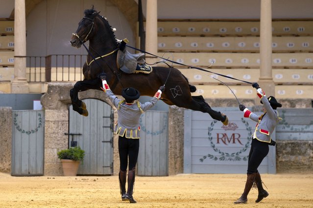 Horsemen take part in an equestrian show marking the 450th anniversary of the Real Maestranza de Caballeria cultural institution in Ronda, southern Spain on April 19, 2023. (Photo by Jorge Guerrero/AFP Photo)