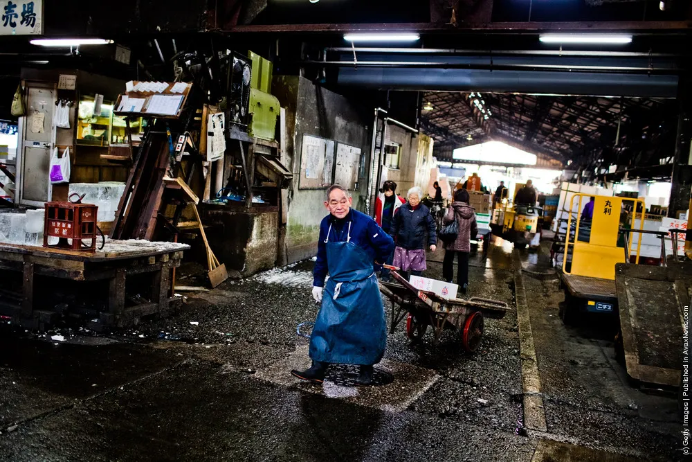 Daily Life at Japan's Tsukiji Market