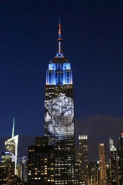 An image of an animal is projected onto the Empire State Building as part of an endangered species projection to raise awareness, in New York August 1, 2015. (Photo by Eduardo Munoz/Reuters)