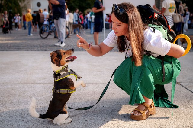 A woman plays with a dog before a march by animal rights activists and supporters calling on Romanian authorities to observe more rigorously the current animal protection and welfare legislation, in Bucharest, Romania, Saturday, September 21, 2024. (Photo by Vadim Ghirda/AP Photo)