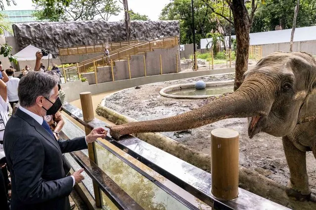 Secretary of State Antony Blinken stops to feed an Asian elephant during a visit to a COVID-19 vaccination clinic at the Manila Zoo in Manila, Philippines, Saturday, August 6, 2022. Blinken is on a ten-day trip to Cambodia, Philippines, South Africa, Congo, and Rwanda. (Photo by Andrew Harnik/Pool via AP Photo)