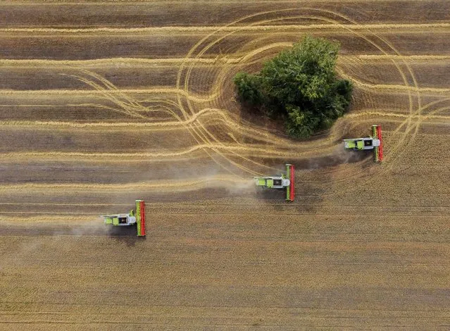 Combines harvest wheat in a field near the village of Solyanoye in the Omsk region, Russia on September 8, 2022. (Photo by Alexey Malgavko/Reuters)