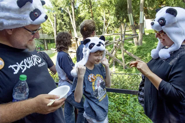 Panda enthusiats Angela Ramsey, husband Heiko and 10-yr-old son Liam wear panda garb as the Zoo celebrates the first birthday of Bei Bei at the Smithsonian National Zoo in Washington, DC on August 20, 2016. (Photo by Linda Davidson/The Washington Post)