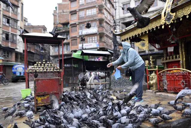 A woman offering grains toward Pigeons during ongoing nationwide lockdown as concerns about the spread of Corona Virus (COVID-19) in Ason, Kathmandu, Nepal on Friday, June 05, 2020. (Photo by Narayan Maharjan/NurPhoto via Getty Images)