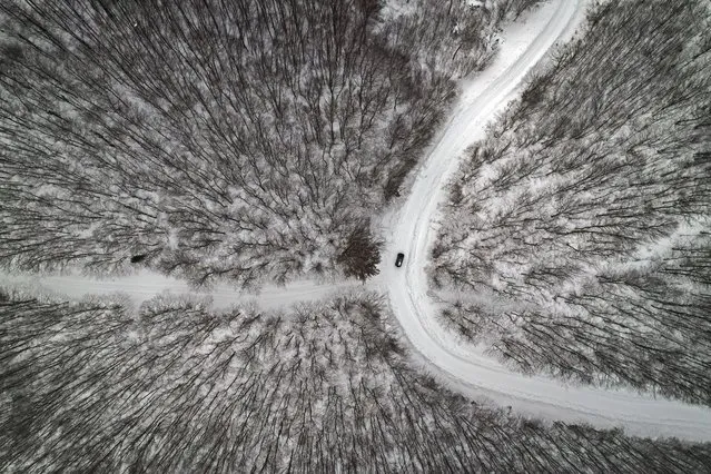 A photo taken with a drone shows a snow covered street and side road in a forested area following snowfalls in the village of Ochagavia, Navarra, northern Spain, 30 January 2023. (Photo by Jesus Diges/EPA/EFE)
