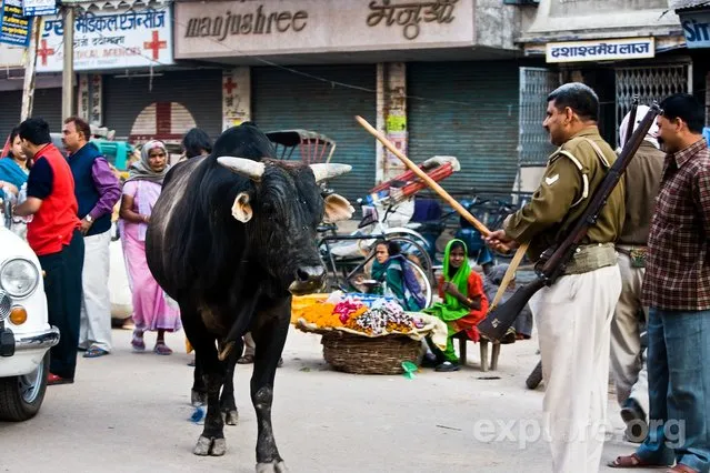 Varanasi: India's City of Death and Life