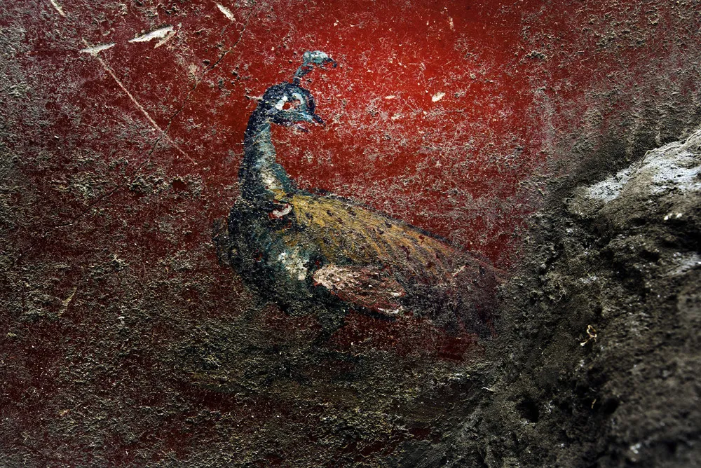 The Day in Photos – May 25, 2018