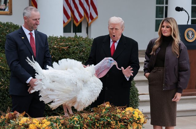 U.S. President Donald Trump looks at Gobble one of two turkeys to ceremonially pardoned for Thanksgiving in the Rose Garden at the White House in Washington, D.C., U.S., November 25, 2025. (Photo by Jonathan Ernst/Reuters)