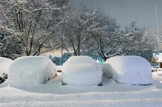 Picture taken on November 9, 2016 shows cars covered with snow in Sundbyberg near Stockholm. (Photo by Jonathan Nackstrand/AFP Photo)