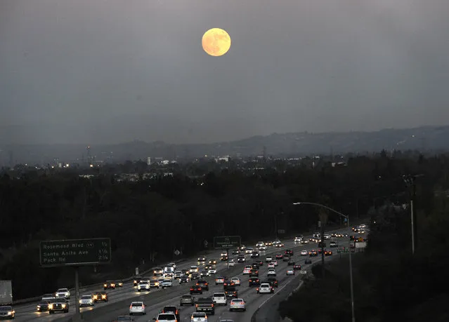 The moon rises above California 60 on Sunday, November 13, 2016, in Rosemead, Calif. Monday morning's supermoon will be the closet a full moon has been to the Earth since Jan. 26, 1948. (Photo by Nick Ut/AP Photo)