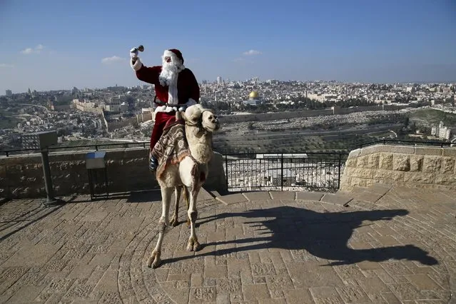 Israeli-Arab Issa Kassissieh wears a Santa Claus costume as he rides a camel and poses for the media during an annual Christmas tree distribution by the Jerusalem municipality on the Mount of Olives in Jerusalem. The Dome of the Rock is seen in the background. December 21, 2015. (Photo by Ammar Awad/Reuters)