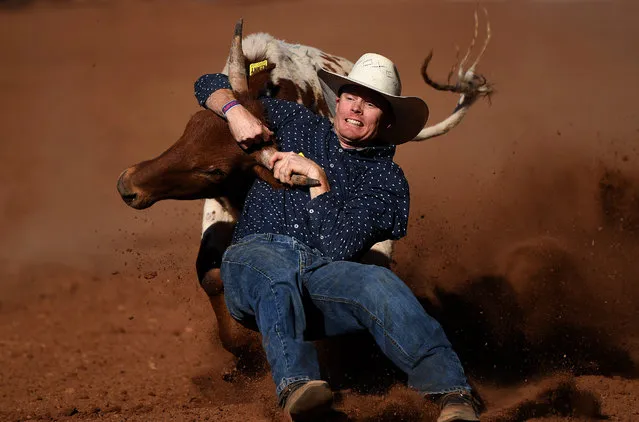 A competitor takes part in the Steer Wrestling event at the Mount Isa Mines Rotary Rodeo, Mount Isa, Australia, 10 August 2018. This is the 60th anniversary of the rodeo, the biggest of its kind in the Southern Hemisphere. (Photo by Dan Peled/EPA/EFE)