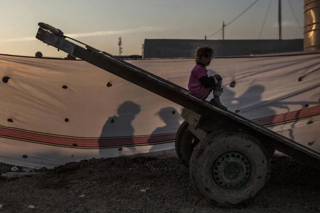 An Iraqi girl plays atop of a carriage in Khazer camp for the displaced in Iraqi Kurdistan, Iraq, Monday, December 12, 2016. (Photo by Manu Brabo/AP Photo)
