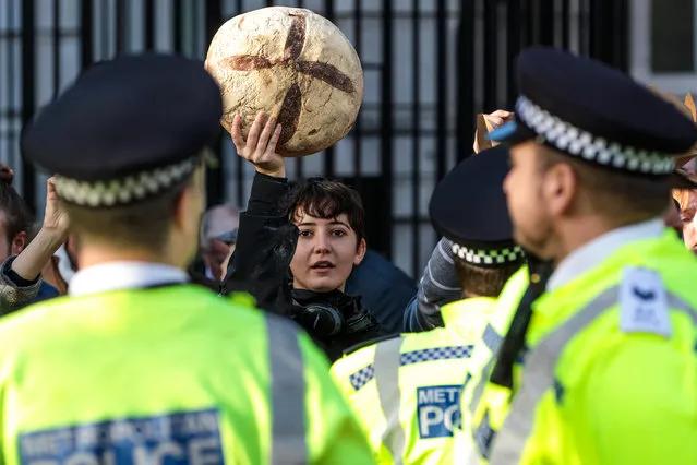 Climate activists demonstrate outside Downing Street with boxes and loaves of bread on November 14, 2018 in London, England. Climate activist group Extinction Rebellion have held a series of co-ordinated direct actions in Westminster today. (Photo by Jack Taylor/Getty Images)