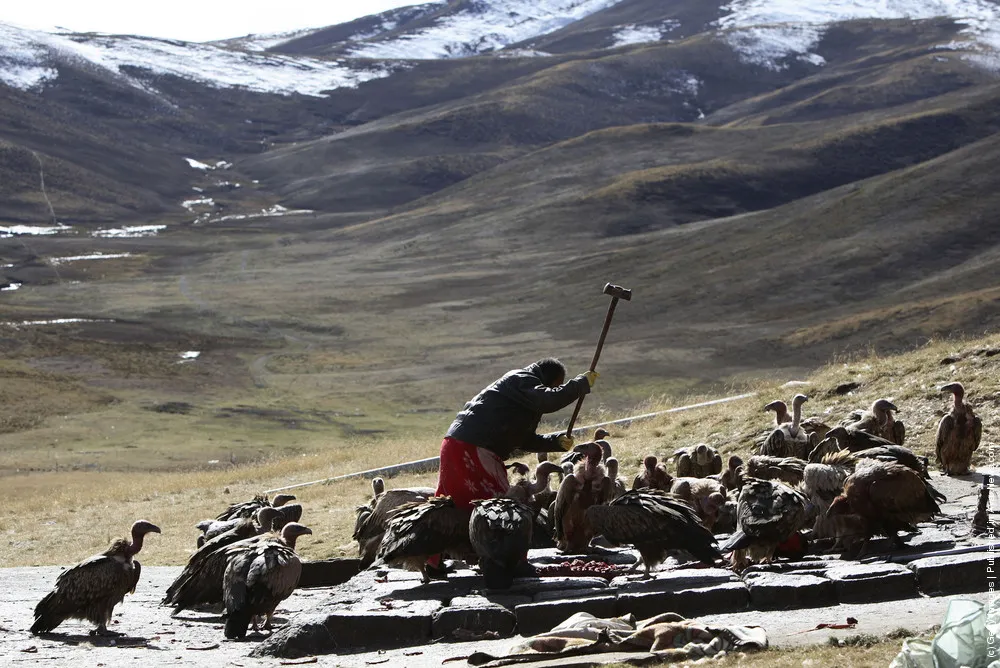 Tibetans Perform Celestial Burial Ceremony