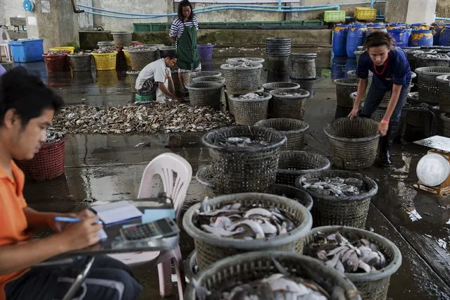People move and sort fish and seafood unloaded from a fishing ship at a port in Mahachai, in Thailand's Samut Sakhon province April 23, 2015. (Photo by Damir Sagolj/Reuters)