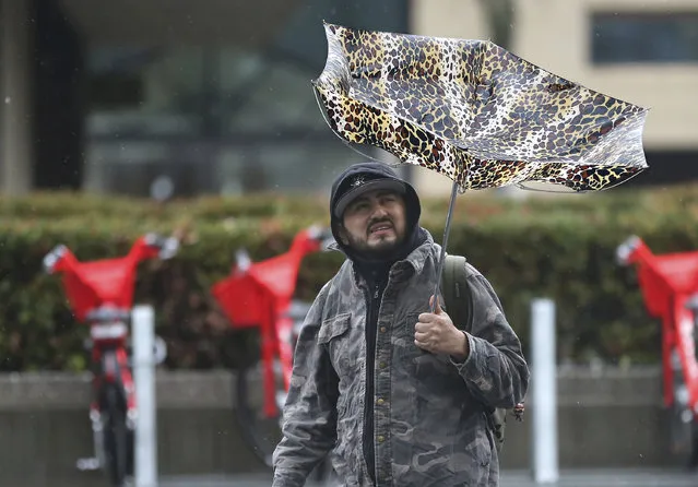 High winds caused havoc for a man using an umbrella as rain pelted Sacramento, Calif., Tuesday, February 26, 2019. (Photo by Rich Pedroncelli/AP Photo)
