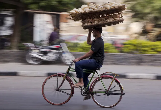 An Egyptian carries bread tray over his bicycle, in Cairo, Egypt, Saturday, November 19, 2016. Egypt is currently suffering an acute foreign currency shortage because of the decimation of its lucrative tourism industry, double digit rates of inflation and unemployment. (Photo by Amr Nabil/AP Photo)