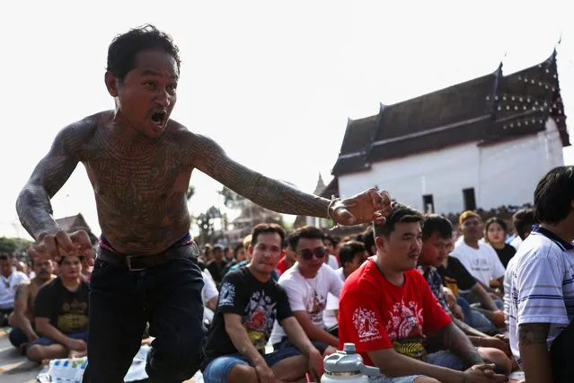 A devotee in trance mimics a beast during a religious tattoo festival at Wat Bang Phra monastery in Nakhon Pathom province, Thailand, on March 23, 2024. The Buddhist monk Luang Phor Pern, known as the creator of spiritual tattoos, passed away in 2002 at the age of 79, but still has a strong following, particularly during the annual ceremony. During the ceremony, some devotees were seen undergoing a phenomenon where they seemed to embody the spirit of the animals depicted in their tattoos. (Photo by Chalinee Thirasupa/Reuters)