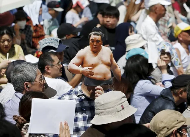 A visitor holds a cutout of Mongolia-born grand sumo champion Yokozuna Harumafuji during the annual “Honozumo” ceremonial sumo tournament dedicated to the Yasukuni Shrine in Tokyo, Japan, April 18, 2016. (Photo by Yuya Shino/Reuters)