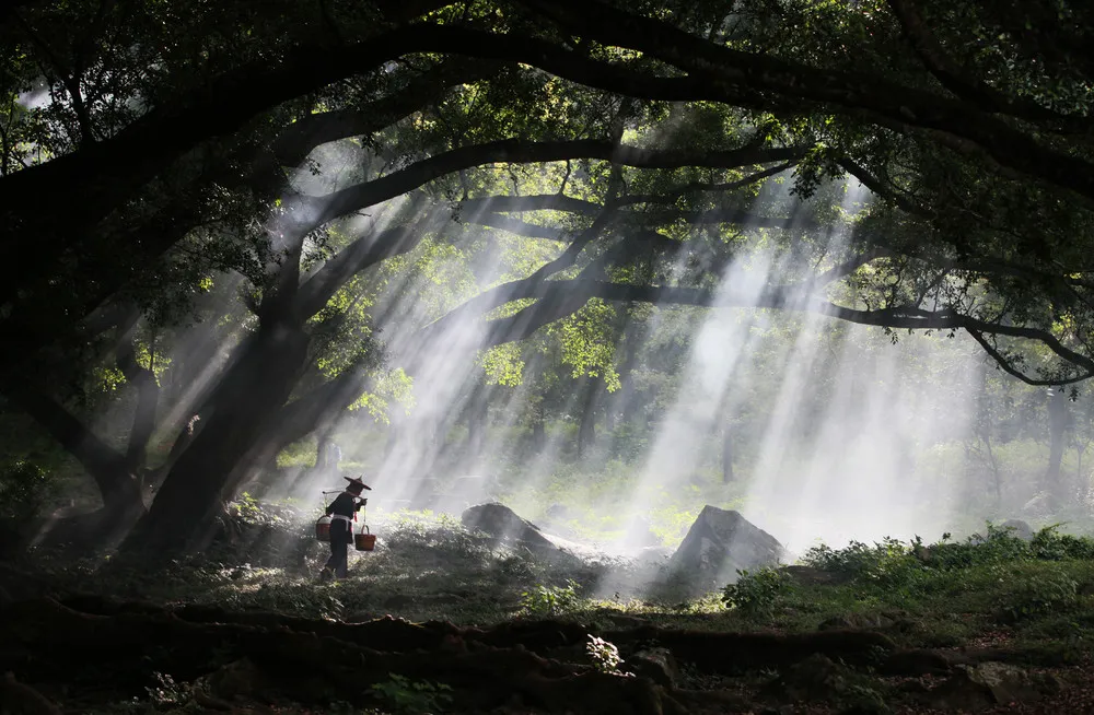 2014 National Geographic Photo Contest, Week 5