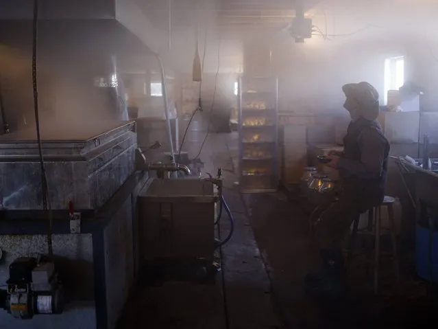 Bill Gibbons monitors production at Gibbons Family Farm in Frankville, Ontario, Canada, 31 March 2014. The annual maple syrup season marks the end of the often brutal central Canadian winters and heralds the beginning of spring. The maple tree, whose leaf dominates the Canada's flag, plays both a symbolic and practical role in the identity of Canadians who produce around 95 percent of the world's supply of maple syrup. (Photo by Stephen Morrison/EPA)