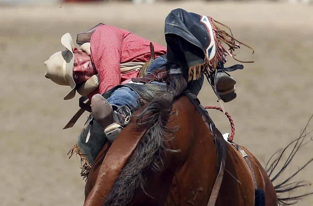 Calgary Stampede Rodeo