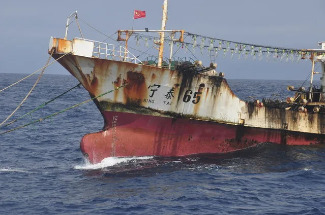 A Chinese-flagged vessel is anchored on the high seas beyond Ecuador’s territorial waters near the Galapagos Islands on July 19, 2021. In the summer of 2020, hundreds of Chinese vessels were discovered fishing for squid near the long-isolated Galapagos Islands, a UNESCO world heritage site that inspired 19th-century naturalist Charles Darwin and is home to some of the world’s most endangered species, from giant tortoises to hammerhead sharks. (Photo by Peter Hammarstedt/Sea Shepherd via AP Photo)