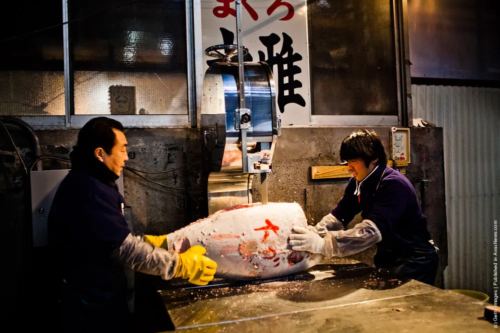 Daily Life at Japan's Tsukiji Market