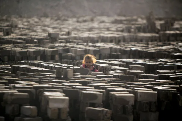 An Iraqi girl stands amid bricks baking dry in the sun at a brick factory near the central Iraqi shrine city of Najaf on May 16, 2017. (Photo by Haidar Hamdani/AFP Photo)