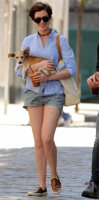 Anne Hathaway and husband Adam Shulman have added to their family, on June 15, 2014. They have adopted a new puppy. Anne and Adam take their new puppy and dog Esmerelda for a walk in their neighborhood to do some shopping. Anne was all smiles and seemed very happy with her family. (Photo by Ken Katz/Startraksphoto.com)