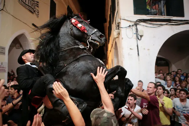 A rider rears up on his horse while surrounded by a cheering crowd during the traditional Fiesta of Sant Joan (Saint John) in downtown Ciutadella, on the island of Menorca, Spain June 23, 2016. (Photo by Enrique Calvo/Reuters)