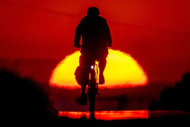 A man rides his bike to work on a small road as the sun rises on the outskirts of Frankfurt, Germany, Monday, July 4, 2022. (Photo by Michael Probst/AP Photo)
