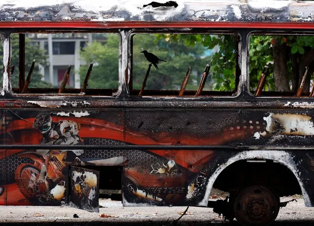 A crow sits inside a damaged bus which was set on fire during a clash of pro and anti-government demonstrators near the Prime Minister's official residence amid the country's economic crisis, in Colombo, Sri Lanka on July 31, 2022. (Photo by Kim Kyung-Hoon/Reuters)