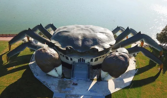 Aerial view of a crab-shaped eco museum under construction on the shore of Yangcheng Lake on October 31, 2017 in Suzhou, Jiangsu Province of China. The crabs produced in Yangcheng Lake have long enjoyed great reputation abroad, and are sometimes known as 'Chinese Mitten Crabs'. The stainless steel exo museum is 75 meters long and 16 meters high with three floors in all, which will provide residents a place for recreation and leisure after completion. The construction work is still under way and it is expected to open in the second half of the next year. (Photo by VCG/VCG via Getty Images)